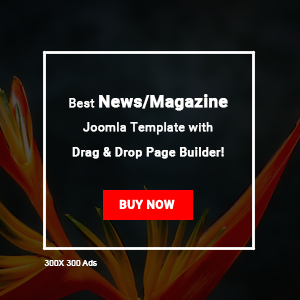 techdom Advertisement